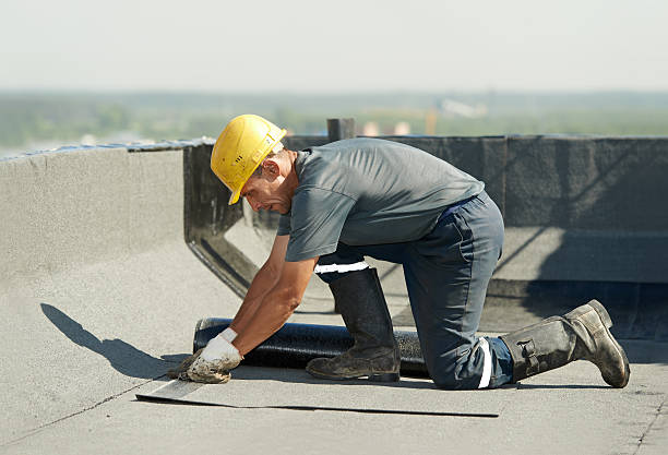 Best Basement Insulation  in Oxoboxo River, CT